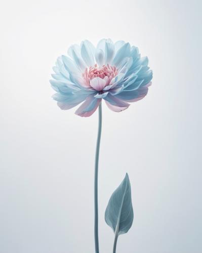 Blue flower with leaf.